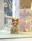 Mini Maltipoo - Faith