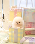 Pomeranian - Happymeal